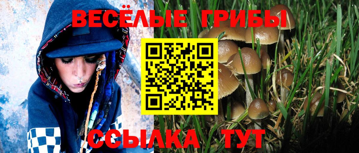 Реутов  Галлюциногенные грибы мухоморы  Вход с VPN  Галлюциногенные грибы MAGIC MUSHROOMS 