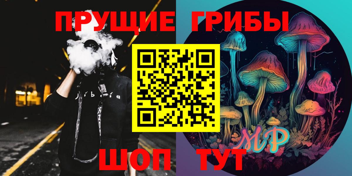 Галлюциногенные грибы Psilocybine cubensis Реутов